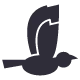Supports print