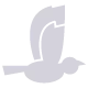 Supports print